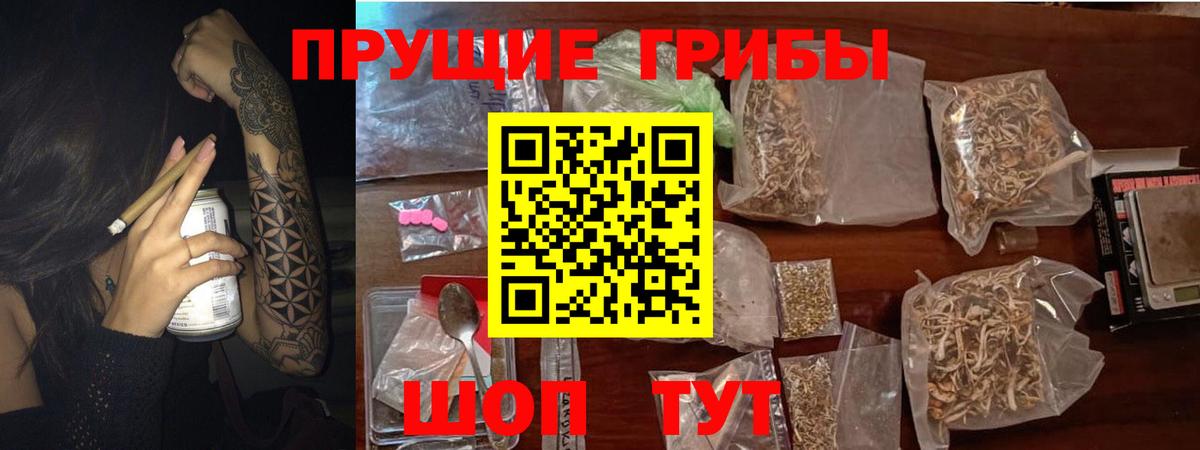 Галлюциногенные грибы GOLDEN TEACHER Таганрог