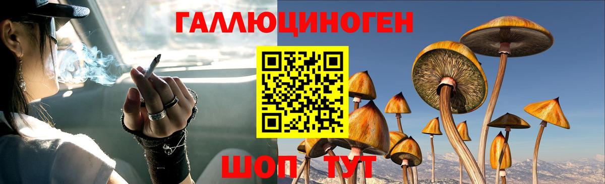 Таганрог  Псилоцибиновые грибы Magic Shrooms  Вход с VPN  Галлюциногенные грибы мухоморы 